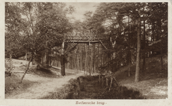 602381 Gezicht op de Zwitserse brug boven een waterloop in het bos aan de noordzijde van de Arnhemsebovenweg te ...